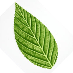 人工桜葉|和菓子|包装 ラッピング資材