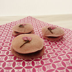 桜特集 – Jhc cake club